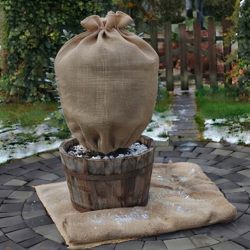 Winterschutz bei Pflanzen