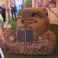 Leoparden Fell-Auto