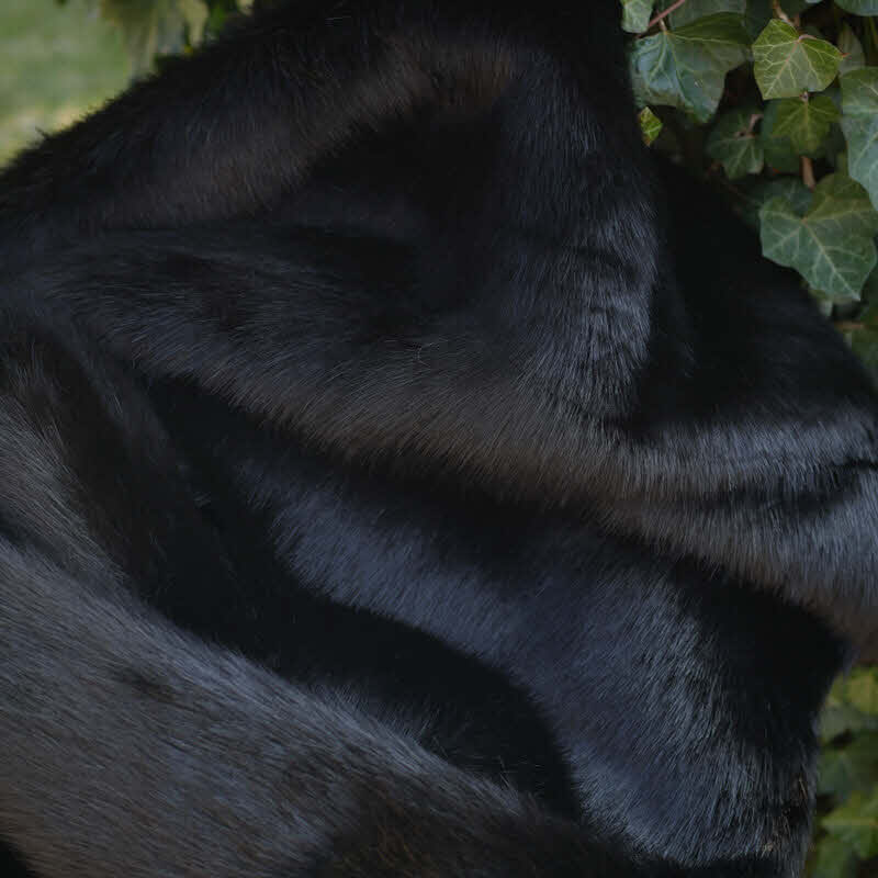 Langhaarfell ca. 40 mm Flor Gorilla, Nerz schwarz ca. 150 cm breit