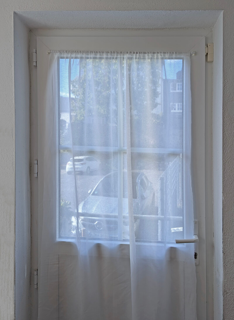 Schleiernessel vor einem Fenster