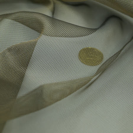 Transparent,Beispiel mit 50 Cent Münze