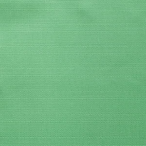 Farben: hellgrün 409 (Sonderfarbe, solange Vorrat reicht)