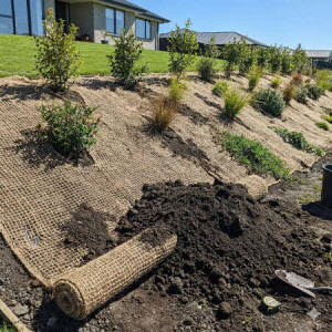 Bildliche Darstellung (KI generiert)